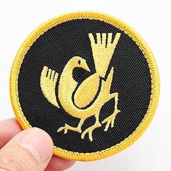 ミリタリー刺繍パッチ8枚セット Amazon.co.jp: TERA NASA パッチ ワッペン ミリタリー 刺繍